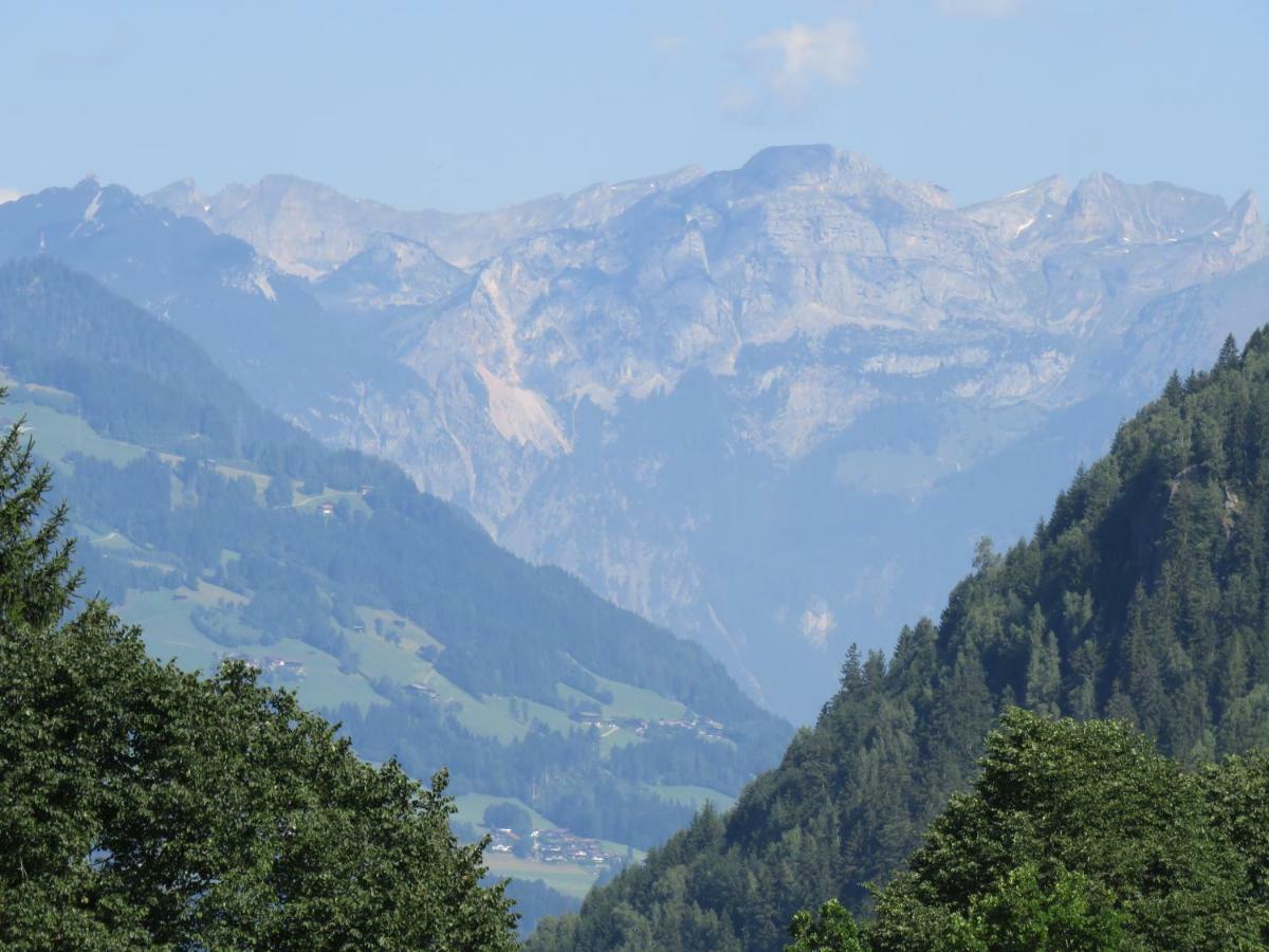 Ferienhaus Schneiderhausl Zillertal Daire Stummerberg Dış mekan fotoğraf